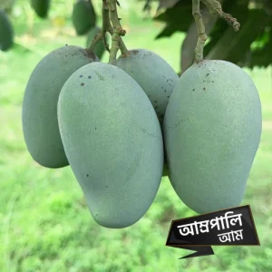 আম রুপালি Kg